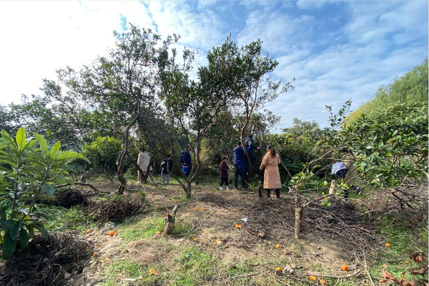 羞羞视频app檢(jiǎn)測2020年冬季拓展